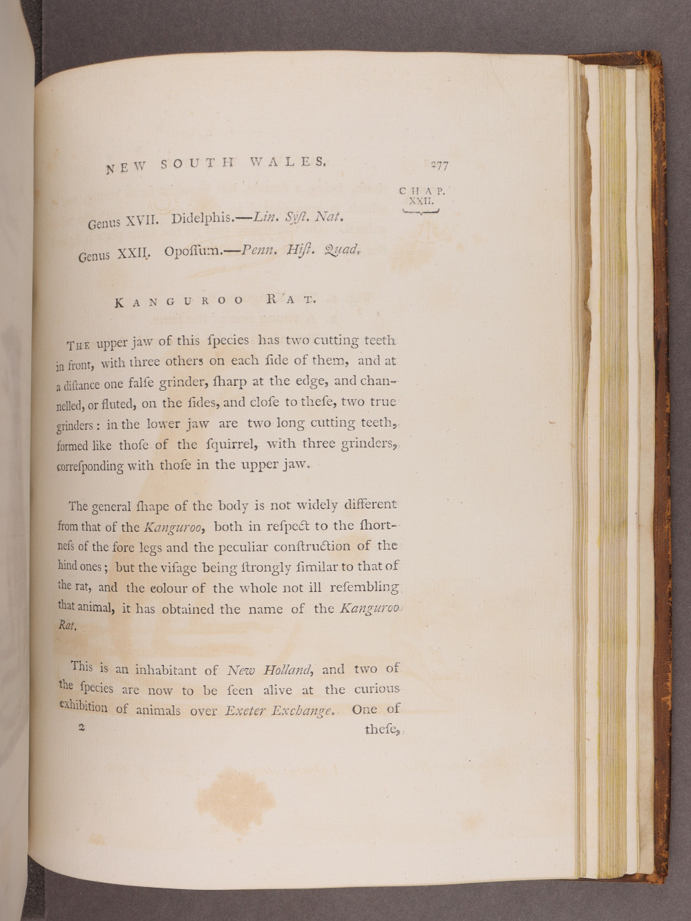 Page 277